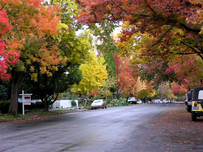 Where to see the fall colors? (Sacramento, Placerville: landscaping